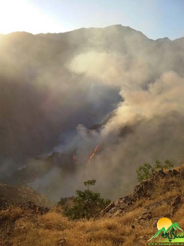 حدود 400 هکتار از مراتع و جنگل های شهرستان پاوه در آتش سوخت