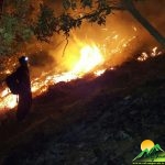 آتش سوزی روستای دشه