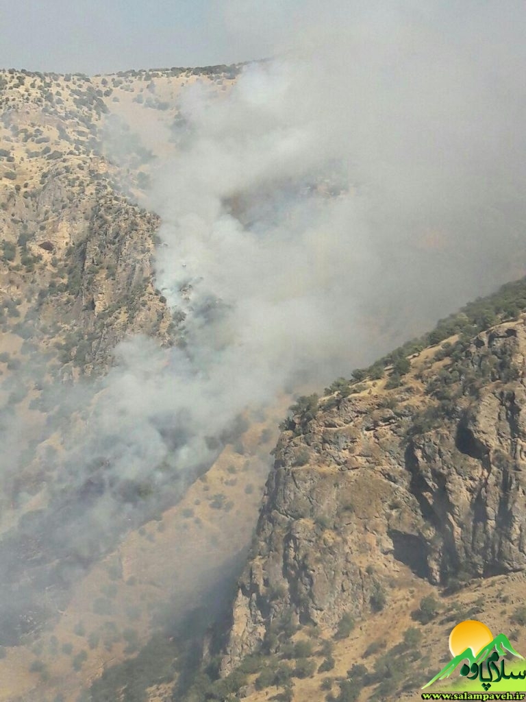 آتش سوزی روستای دشه 