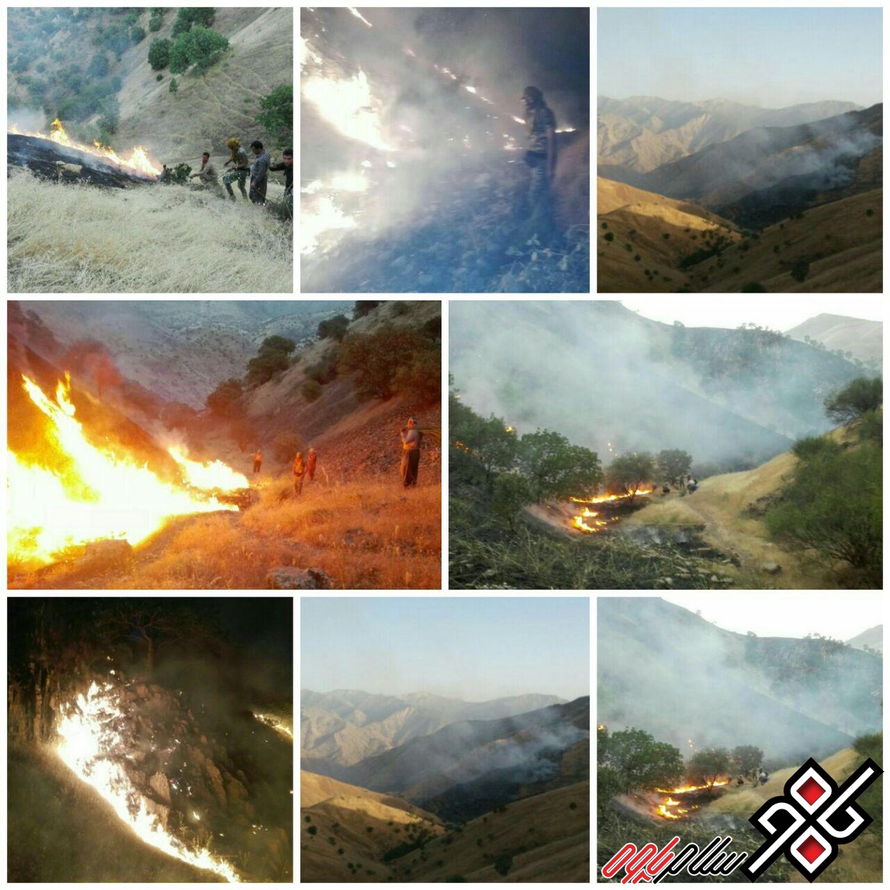 مهار آتش سوزی در مرز شوشمی شهرستان پاوه پس از ۸ ساعت