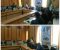 برگزاری اولین نشست کمیته حفاظت از منابع طبیعی با محوریت اطفاء حریق در پاوه/عکس