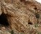شناسایی بقایای فرهنگی دوره پارینه سنگی در روستای هجیج شهرستان پاوه