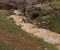خروش دره هولی پاوه بر اثر بارش‌های اخیر/ بارش باران، آب «پاوه» را قطع کرد+ فلیم